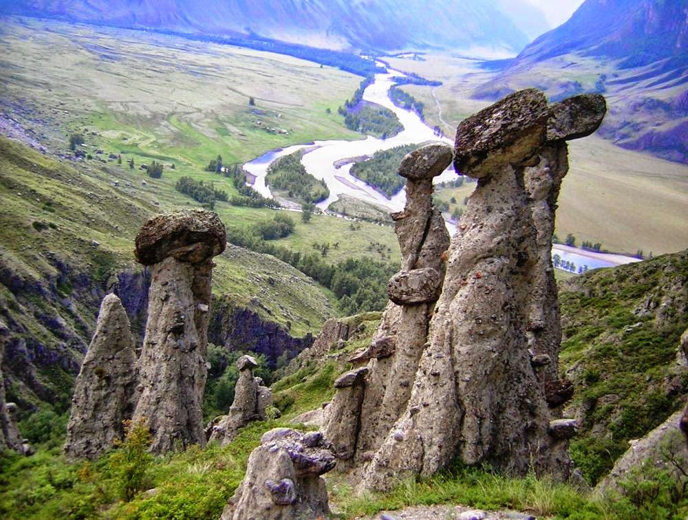 Каменный грибы Горный Алтай